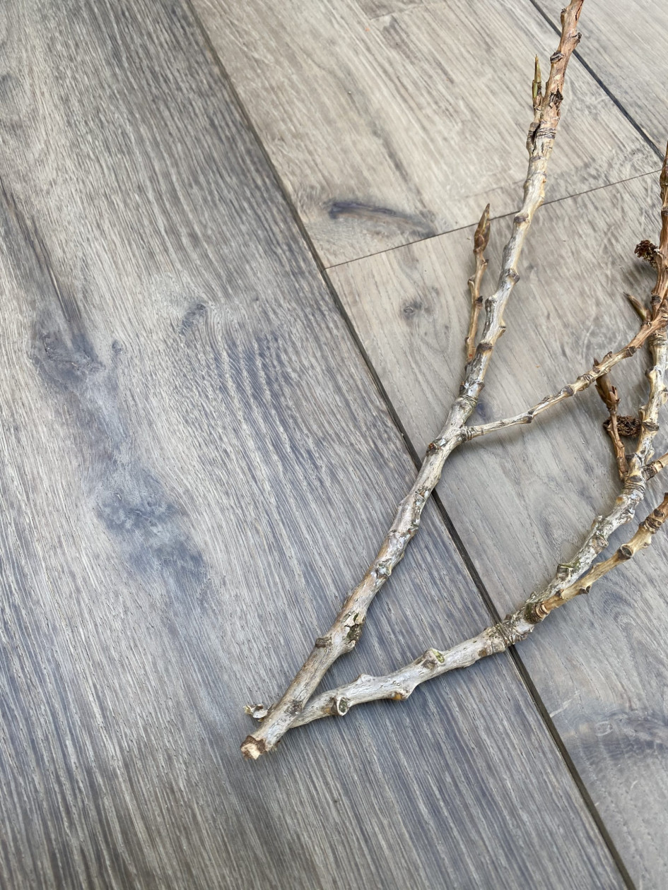 Andres Uprimny Author At The New Reclaimed Flooring Company Reclaimed Flooring