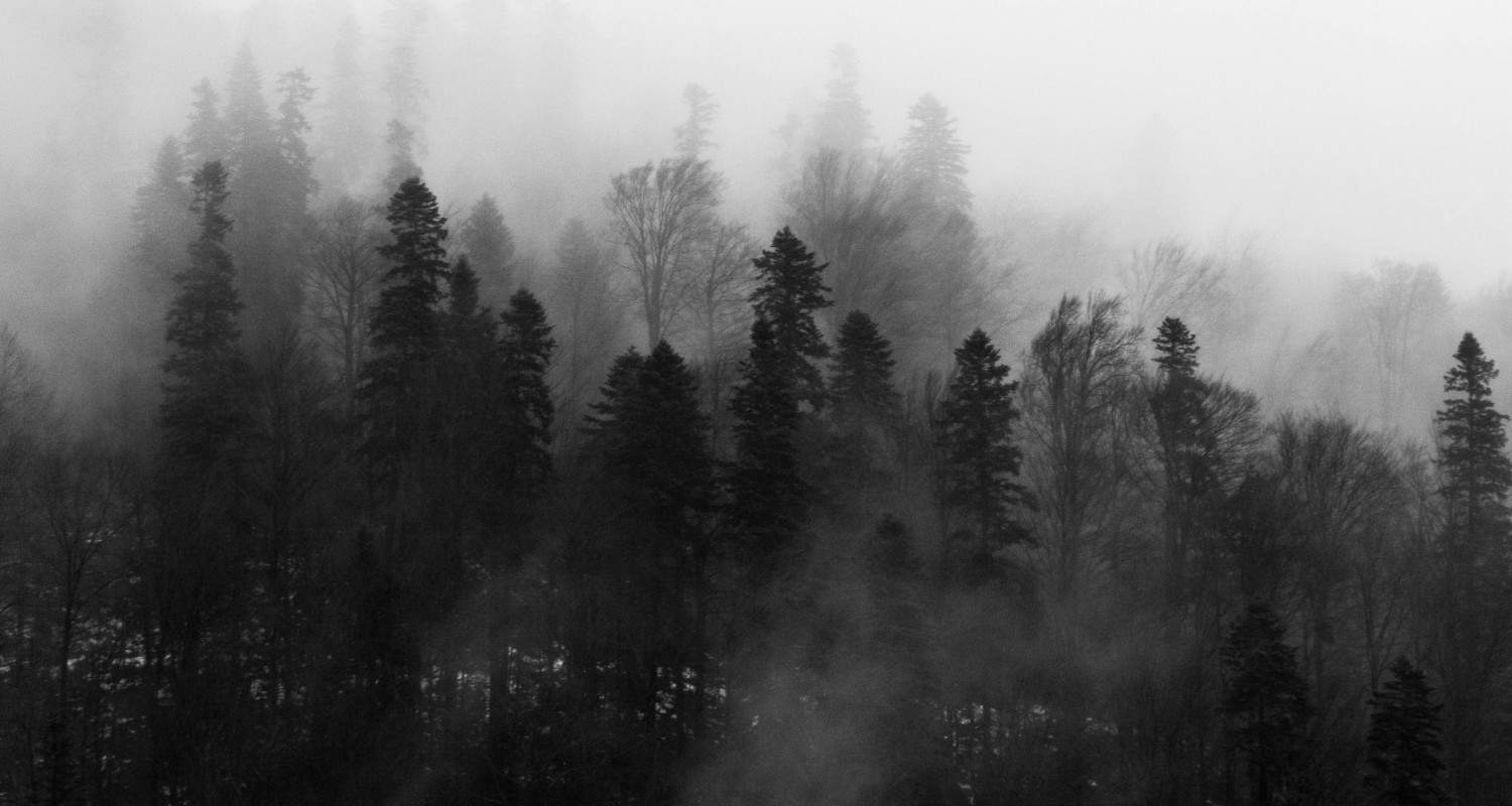 Being around wood is good for your health