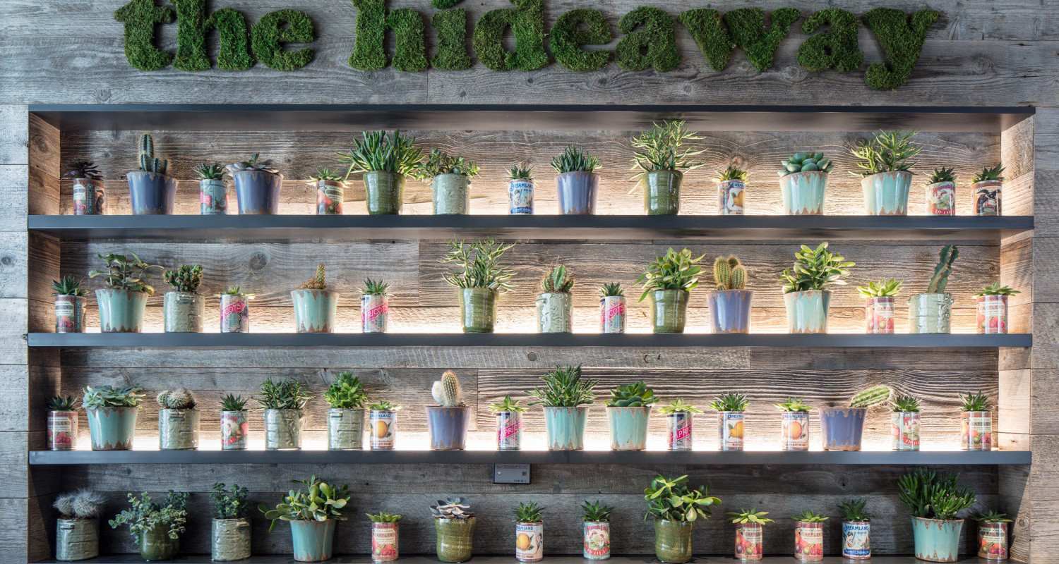 What is Vegan Interior Design? Is Wood Flooring Vegan?