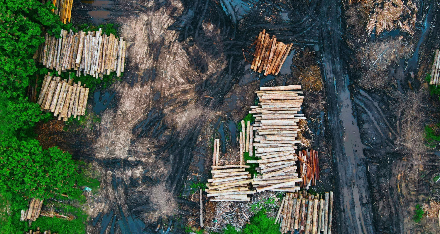 What is an FSC Certified Flooring?